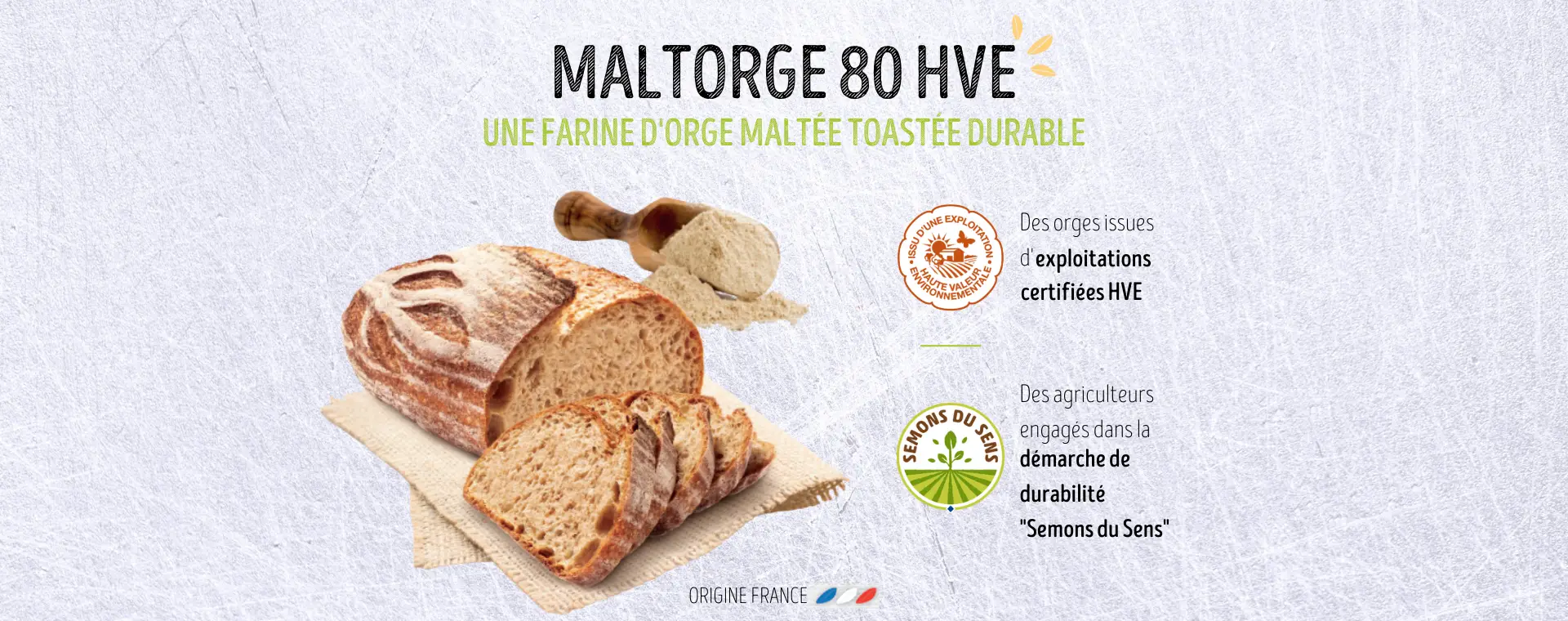 Maltorge 80 HVE bandeau Maltorge 80 HVE bandeau