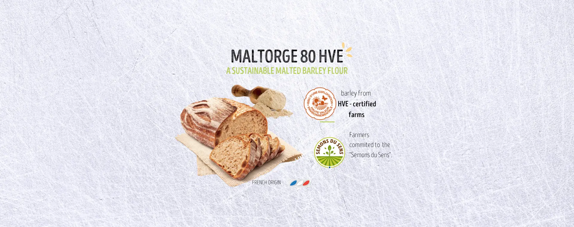 Matlorge 80 HVE bandeau actualites-en(1920 × 760 px) Matlorge 80 HVE bandeau actualites-en(1920 × 760 px)