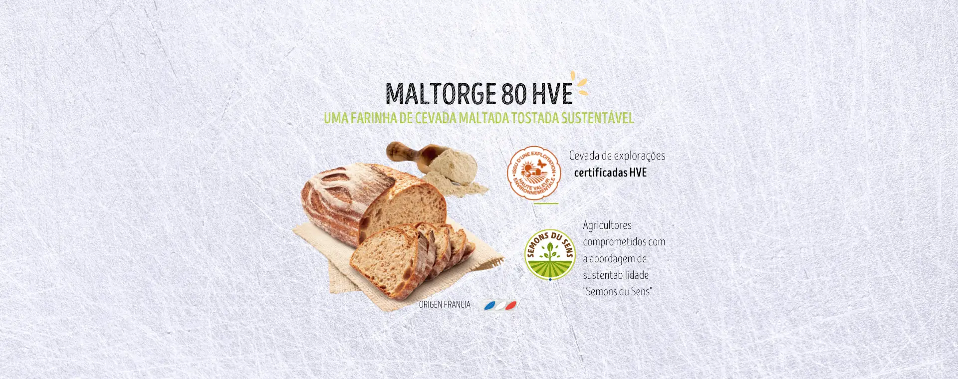 Matlorge 80 HVE bandeau actualites-pt(1920 × 760 px) Matlorge 80 HVE bandeau actualites-pt(1920 × 760 px)